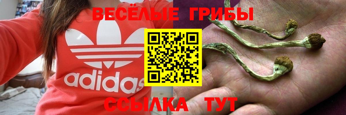 Псилоцибиновые грибы мицелий  Псилоцибиновые грибы мицелий  Вход с VPN  Донецк 