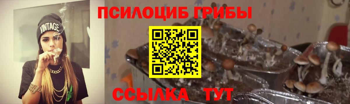 Псилоцибиновые грибы ЛСД Донецк